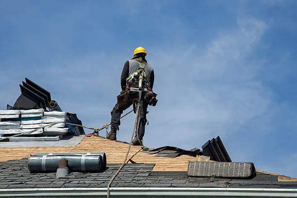Professional Flat Roof Repair technician working in Staples, MN